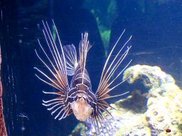 Tiergarten Schönbrunn am 23.03.2023